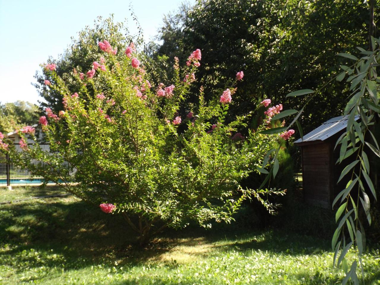 Cabanas Aguas Claras Pinto Εξωτερικό φωτογραφία